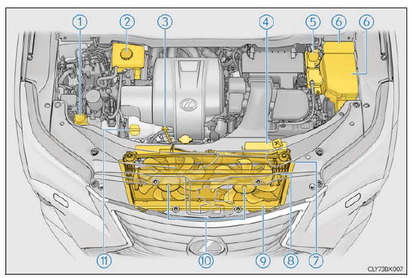 Lexus RX. Do-it-yourself maintenance