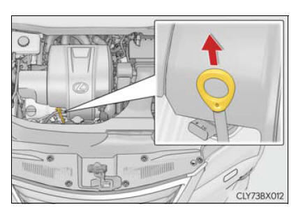 Lexus RX. Do-it-yourself maintenance