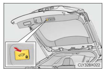 Lexus RX. Opening, closing and locking the doors